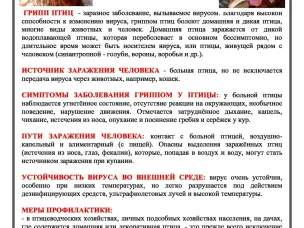 ВЫСОКОПАТОГЕННЫЙ ГРИПП ПТИЦ