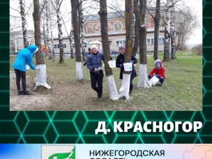 В городском округе город Шахунья прошла Акция «Зеленая Россия»!
