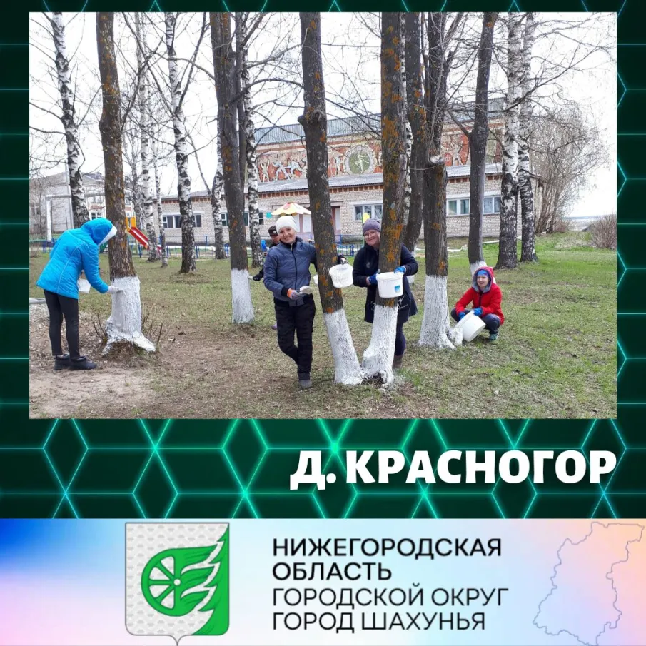 В городском округе город Шахунья прошла Акция «Зеленая Россия»!