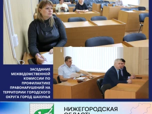 Заседание межведомственной Комиссии по профилактике правонарушений на территории городского округа город Шахунья.