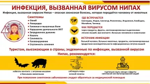 Инфекция, вызванная вирусом НИПАХ.