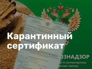 Процедура получения карантинного сертификата