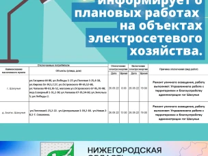 Шахунский РЭС информирует о плановых работах на объектах электросетевого хозяйства.