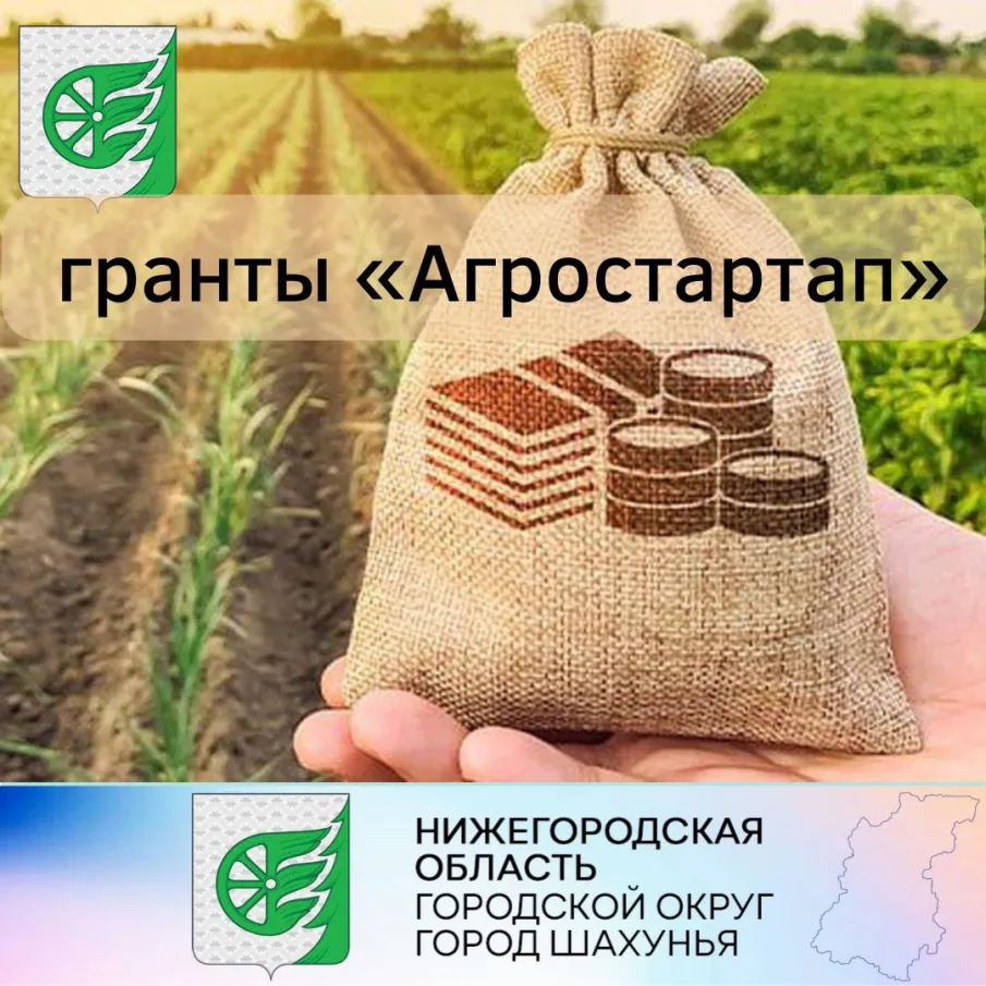 Управление сельского хозяйства администрации городского  округа город Шахунья Нижегородской области  информирует о начале конкурсного отбора Министерством сельского хозяйства и продовольственных ресурсов Нижегородской области заявителей для предоставления гранта "Агростартап" на реализацию проектов создания и (или) развития хозяйства из областного бюджета в форме субсидии в 2024 году.