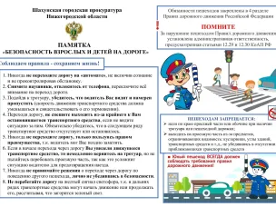 Памятка БДД