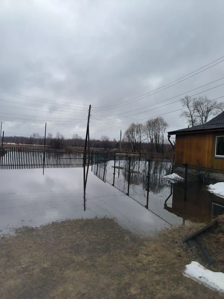 Уважаемые жители городского округа город Шахунья!