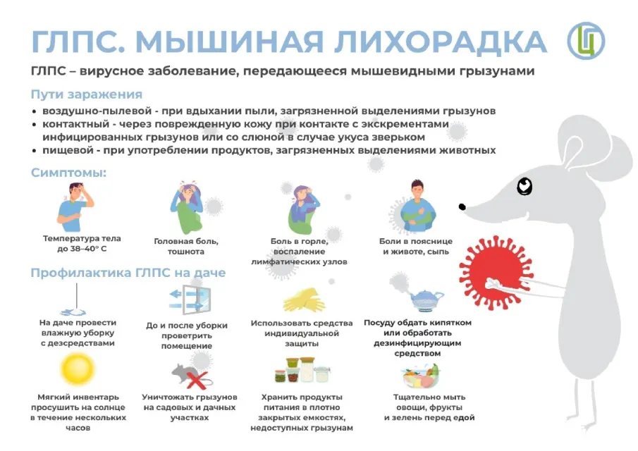 Геморрагическая лихорадка с почечным синдромом или "мышиная лихорадка"