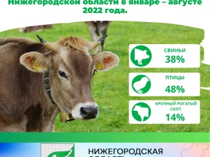 О состоянии животноводства в сельскохозяйственных организациях Нижегородской области в январе – августе 2022 года.