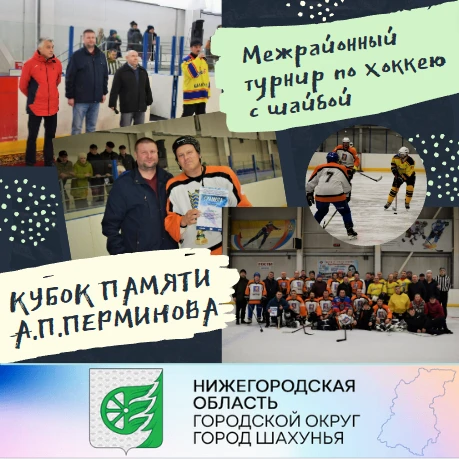 Межрайонный турнир по хоккею с шайбой среди ветеранских команд северных районов Нижегородской области Кубок памяти Андрея Павловича Перминова