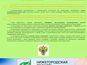 «Меры социальной поддержки детей-сирот».