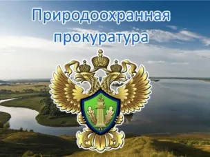Нижегородская межрайонная  природоохранная прокуратура разъясняет